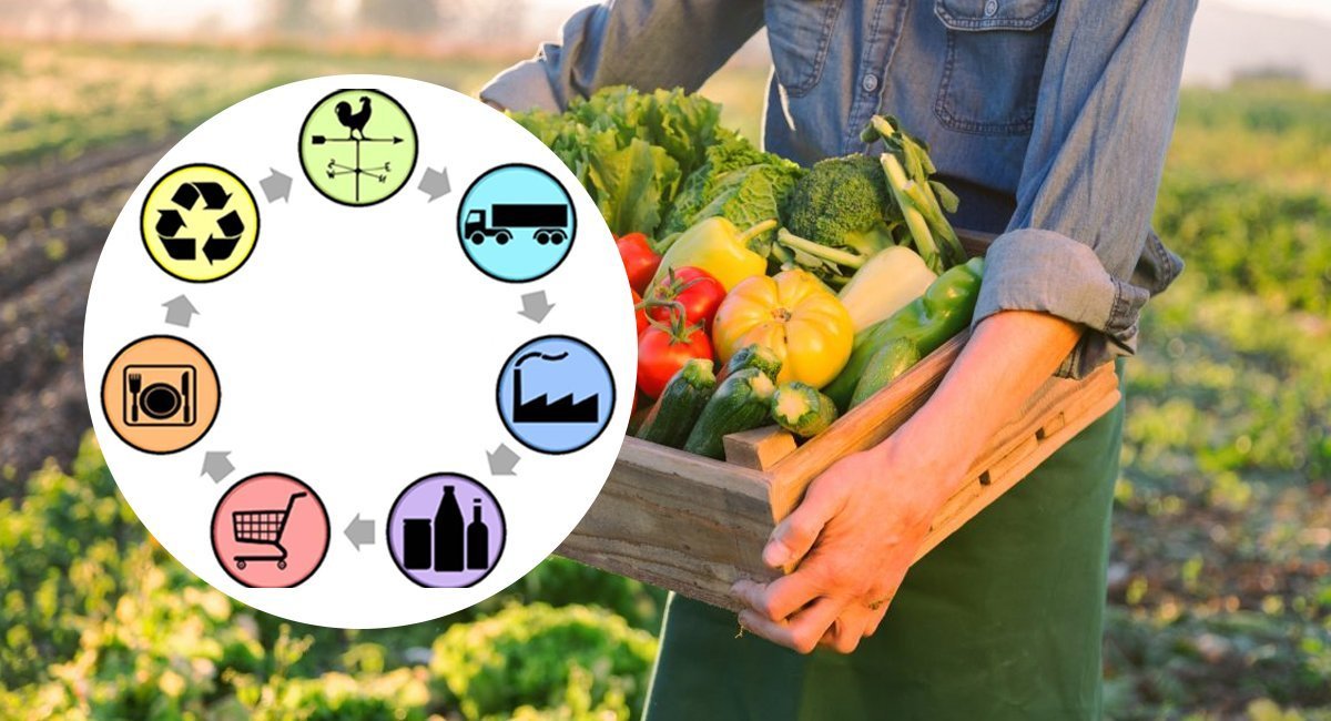 ASCM 561: Strategic Management and Practice