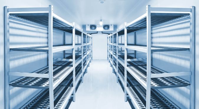 PLSM 560: Cold Chain Management 
